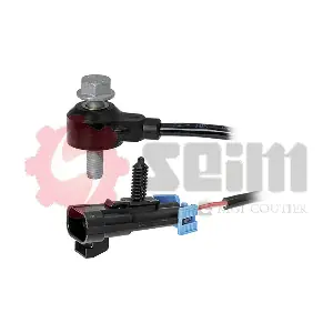 CC119 SEIM