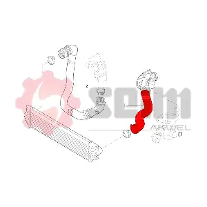 981911 SEIM
