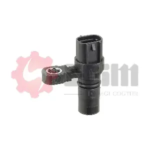 CP278 SEIM