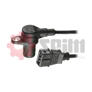 CP351 SEIM