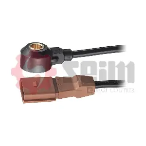 CC60 SEIM