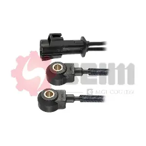 CC67 SEIM
