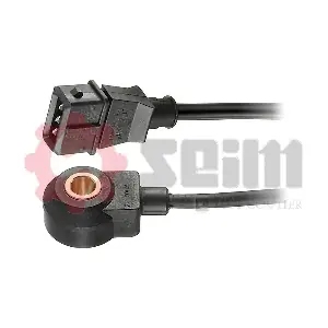 CC34 SEIM