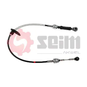554800 SEIM