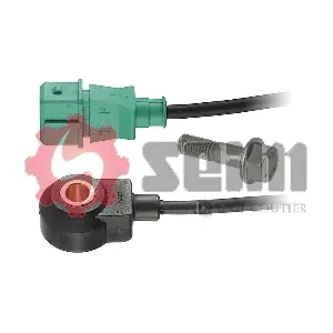 CC118 SEIM