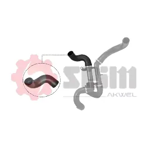 982011 SEIM