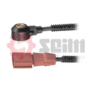 CC81 SEIM