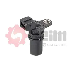 CP306 SEIM