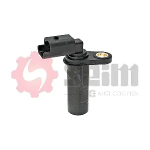CP305 SEIM