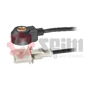 CC15 SEIM