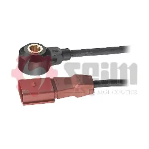 CC24 SEIM