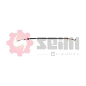 550380 SEIM