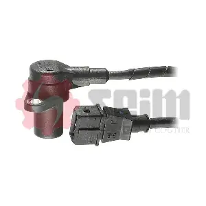 CP118 SEIM