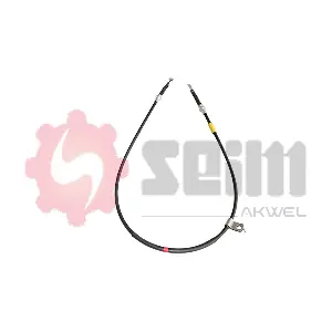 555963 SEIM