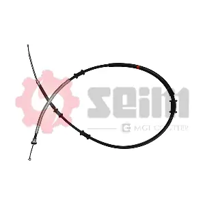 554913 SEIM