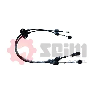 556171 SEIM