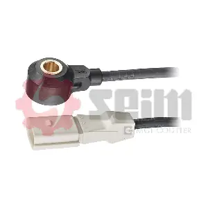 CC20 SEIM