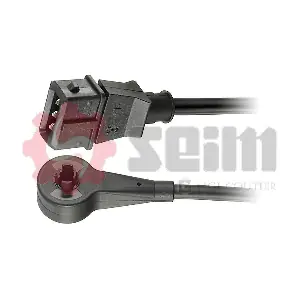 CP352 SEIM