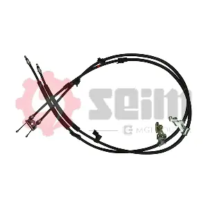555203 SEIM
