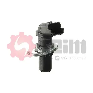 CP51 SEIM