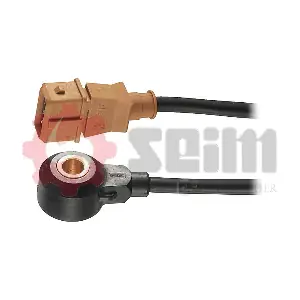 CC30 SEIM