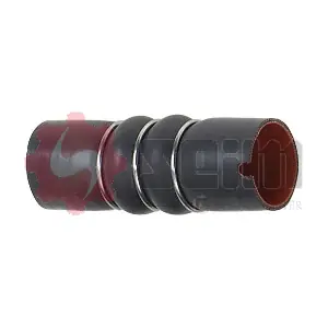 981191 SEIM