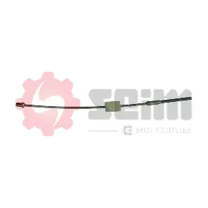 600181 SEIM