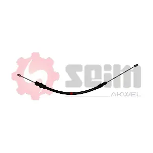 555318 SEIM