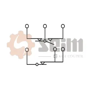 CS134 SEIM