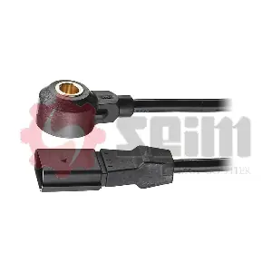 CC22 SEIM