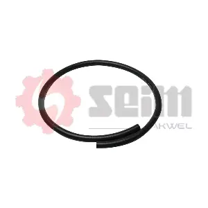 100116 SEIM