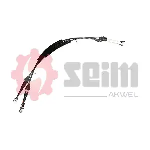 555905 SEIM