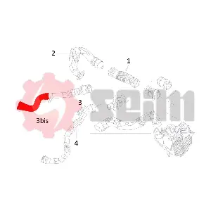 981907 SEIM