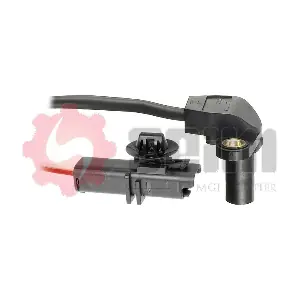 CP309 SEIM