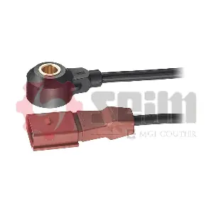 CC18 SEIM