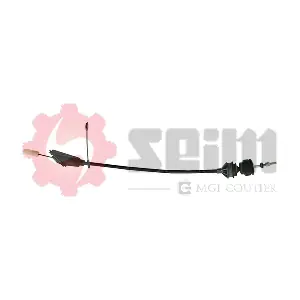101030 SEIM