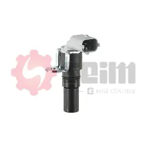 CP229 SEIM