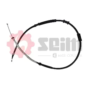 555202 SEIM