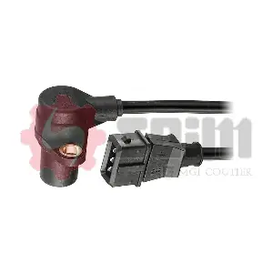 CP175 SEIM