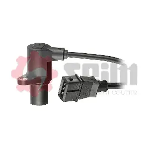 CP217 SEIM