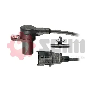 CP319 SEIM