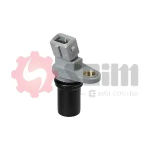 CP341 SEIM