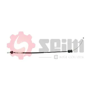 200521 SEIM