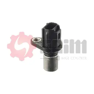 CP296 SEIM