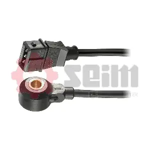 CC27 SEIM