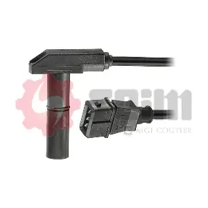 CP173 SEIM