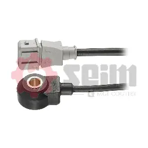 CC29 SEIM