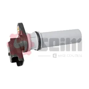 CP304 SEIM