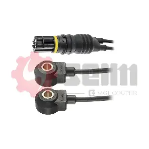CC61 SEIM