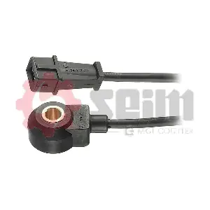 CC35 SEIM
